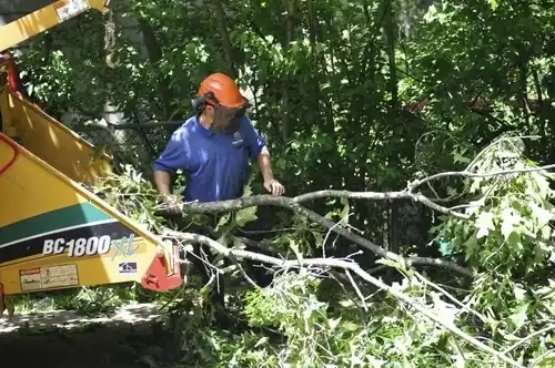 tree services Keeler Farm